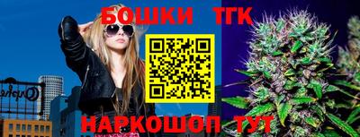 гашик Шебекино